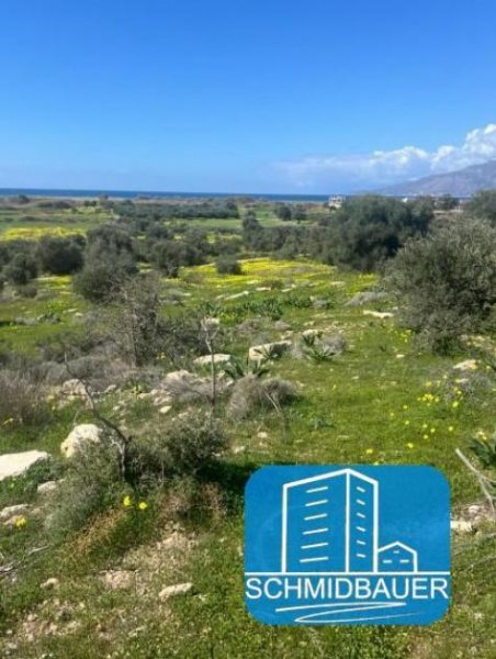 Afrathias Kreta, Afrathias: Grundstück mit herrlichem Meerblick zu verkaufen Grundstück kaufen